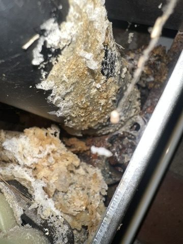 Corroded boiler component found during diagnosis